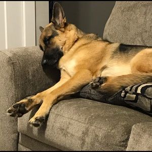 Meet your Posher, Eileen